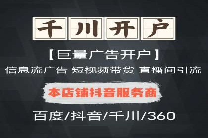 SEM竞价实战：成功案例解析